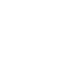 Die Eisdielerin